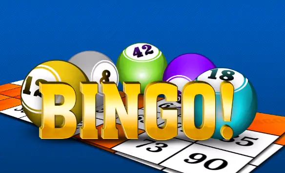 Playamo casino Bingo